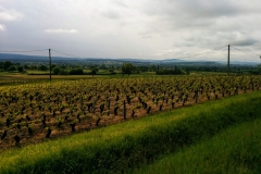 IMG_20170503_102756~2