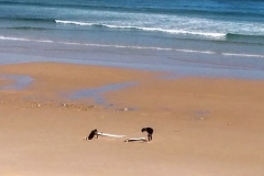 IMG_20170513_100750~2