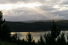 IMG_20170519_081901~2