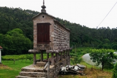 IMG_20170519_084318~2