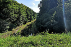 IMG_20220715_091515