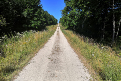 IMG_20220716_100849
