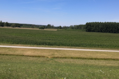 IMG_20220716_124811