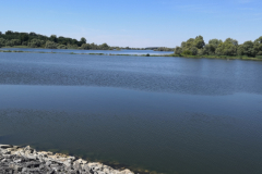 IMG_20220716_125705