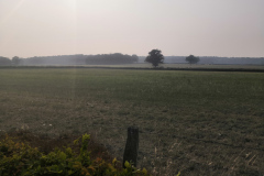 IMG_20220719_182745