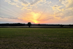 IMG_20220719_210840