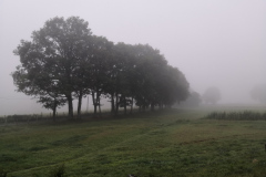 IMG_20220721_081452