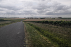 IMG_20220722_145523